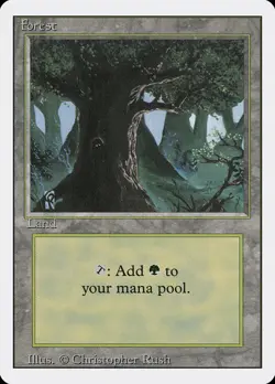 12x FOREST (big tree) Basic Lands - MP - Revised Edition - SPARROW MAGIC - Image 1