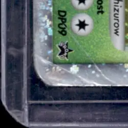 2007 POKEMON DIAMOND & PEARL BLACK STAR PROMOS #DP09 TORTERRA LV.X - Image 4
