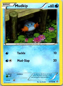 Miscellaneous Cards & Products #033/160 Mudkip - Image 1