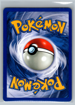 Pokemon TCG Neo Revelation Unlimited Card Raikou 13/64 Holo Rare (MP) - Image 2