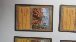 Magic MTG 4x Tempest Wasteland English playset vintage www_MoxBeta_com - Image 2