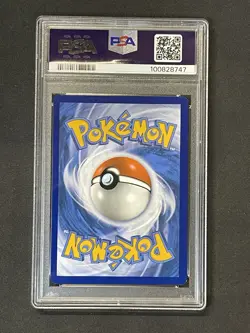 2024 Pokemon SV Stellar Crown Lapras ex #158/142 - PSA 8 Near Mint-Mint - Image 2
