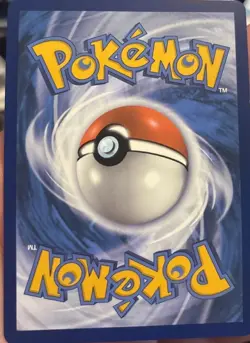 Pokemon TCG Journey Together N's Zorua 189 Promo Card Sealed - Image 2