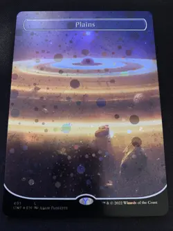 Plains (491) (Borderless) (Galaxy Foil) Unfinity Foil - Image 1