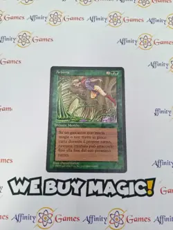 MTG | Arboria | Legends | Moderately Played | Condition | italian - Image 1