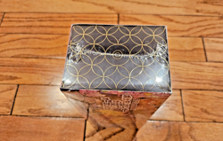 Pokemon TCG Kanazawa Special Booster Box Limited Pokemon Center Factory Sealed - Image 3