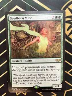 Seedborn Muse NM MTG Commander: Tarkir: Dragonstorm Regular - Image 1