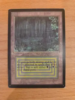 Mtg Bayou (International Edition) - Image 1