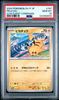 2024 Pokemon Japanese SV-P Pikachu Gym Event Campaign Promo PSA 10 Gem Mint #197 - Image 1