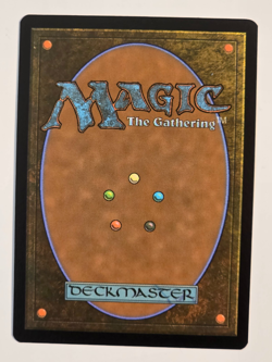 Spider-Punk R0210 Reg (Borderless) Marvel's Spider-Man Magic the Gathering NM - Image 2