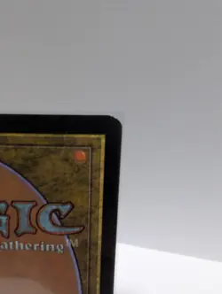 Swamp (341) Onslaught Foil - Image 3