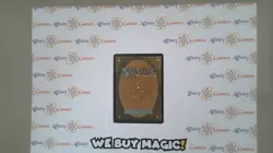 MTG | Path to Exile | Conflux | Regular | Moderately Played | English - Image 2