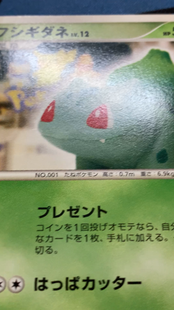 Bulbasaur 030/DPt-P 10th Anniversary Promo Pokemon Card Japanese #2298 - Image 2