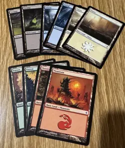 MTG Basic Land sets, 60 cards (Lorwyn, Scars Block) - all art included - Image 3