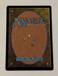 MTG Hedge Maze (Borderless) Murders at Karlov Manor Foil LP - Image 2