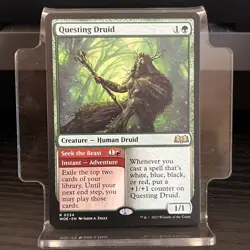 Questing Druid #234 - Rare - MTG Wilds of Eldraine (WOE) Regular NM - Image 1