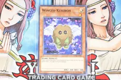 Yugioh Winged Kuriboh LED6-EN017 Unlimited Edition Common - Image 1