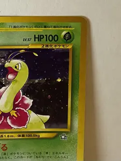 Pokemon Japanese TCG Neo Card Lot - Meganium Holo + Ledyba Holo Vintage LP - NM - Image 3