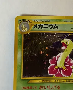 Pokemon Japanese TCG Neo Card Lot - Meganium Holo + Ledyba Holo Vintage LP - NM - Image 4