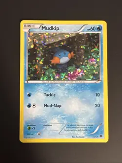Pokemon TCG Mudkip Holo McDonald's 2015 Promo 5/12 Rare NM - Image 1