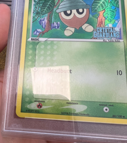 Pokemon PSA 10 GEM MT Seedot 60/100 Crystal Guardians Reverse Holo 2005 S#2351 - Image 5