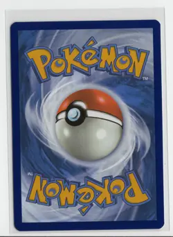 Pokemon TCG Chatot Card 181/162 SV05: Temporal Forces NM Illustration Rare - Image 2