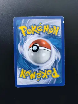 Raichu DP21 Diamond & Pearl LP Holo Promo Pokemon Card - Image 3