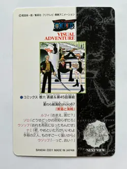 Luffy Nami ONE PIECE Visual Adventure Cards TCG Japanese Anime 2001 #104 [AI] - Image 4