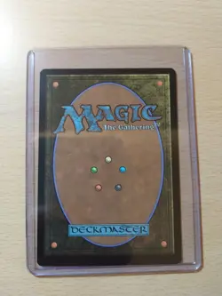 Plains Foil Land, Lord Of The Rings #272, MTG Magic The Gathering - Image 2