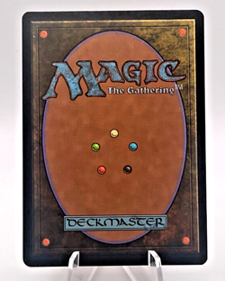 Land Grant 255/350-Mercadian Masques 1999-Vintage Magic The Gathering-Regular NM - Image 3