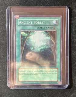 Yu-Gi-Oh! - Ancient Forest - ANPR-EN048 - Super Rare - LP - Image 1