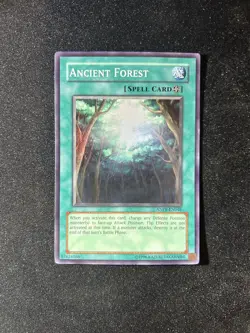 Yu-Gi-Oh! - Ancient Forest - ANPR-EN048 - Super Rare - LP - Image 2