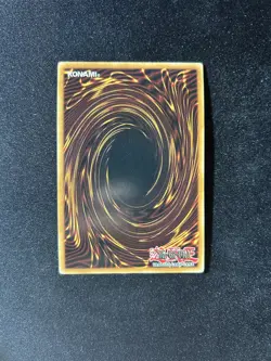 Yu-Gi-Oh! - Ancient Forest - ANPR-EN048 - Super Rare - LP - Image 3