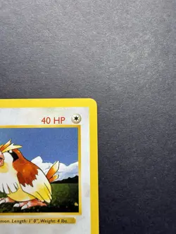 Pokemon Cards: Base Set 1st Edition Common: Pidgey 57/102 - Image 3