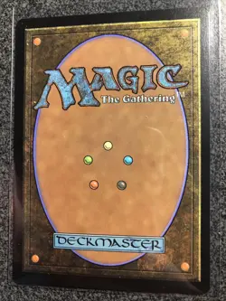 x1 Paladin Class AFR MTG 29/281 RARE M/NM 1x - Image 2