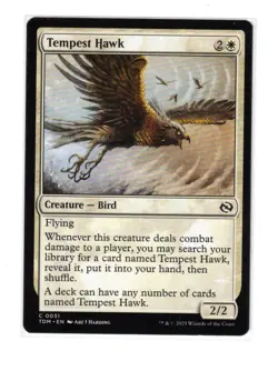 MTG - NM - Tempest Hawk - Tarkir: Dragonstorm 31 - Image 1
