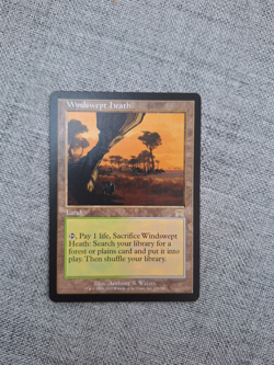 Windswept Heath Rare Magic the Gathering card - Image 1
