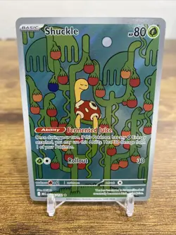 Shuckle Mega Evolution 136/132 Special Illustration Rare Pokemon TCG - Image 1