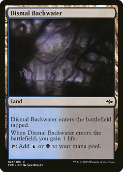 1x Dismal Backwater - NM English MTG - Fate Reforged - Image 1