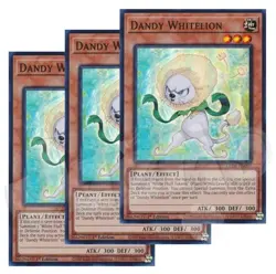 Yugioh - Dandy Whitelion x 3 - 1st Edition Super Rare LP - Free Holo Card - Image 1