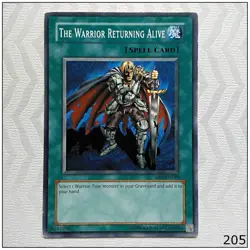 The Warrior Returning Alive - DB2-EN149 - Common Yugioh - Image 1