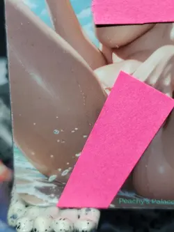 1/1 Only 1 Made Misty Beach NSFW Pokemon Topless F/N Lonestar Customs Waifu Card - Image 5