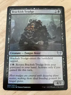 MTG Brackish Trudge FOIL (065) Strixhaven: School of Mages STX Magic NM/M - Image 1