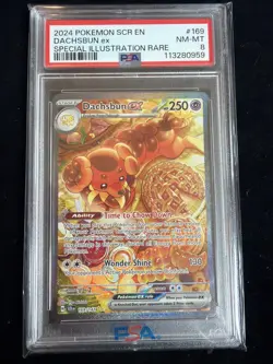 Dachsbun ex 169/142 Sv07: Stellar Crown Holo PSA 8 Pokemon - Image 1
