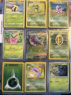 Pokemon Collection Binder 108 Lot Cards Reverse EX Era WOTC Reverse Illustration - Image 2