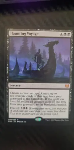 Haunting Voyage - KHM - Image 1