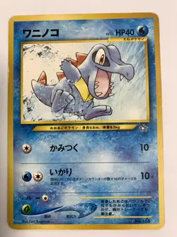 Totodile Croconaw Feraligatr Set PROMO PREMIUM FILE - Pokemon Cards Japanese - Image 3