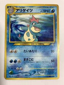 Totodile Croconaw Feraligatr Set PROMO PREMIUM FILE - Pokemon Cards Japanese - Image 5