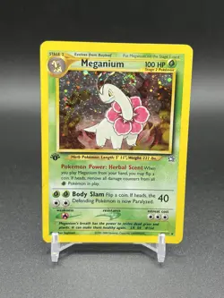 1st Edition Meganium 10/111 Neo Genesis 2000 Holo Rare WOTC Pokemon Card TCG - Image 1