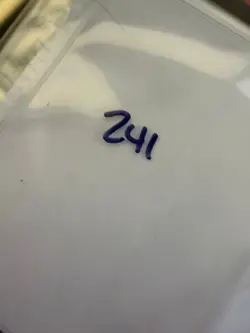 Magic the Gathering: Beta Wall of Stone MTG Beta - Image 3